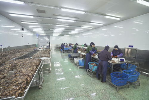 年后工廠招工難與農民工就業困境 旅游業的啟示與出路