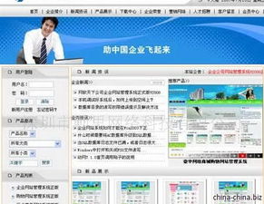 專業(yè)軟件開發(fā)服務與知識產權保護